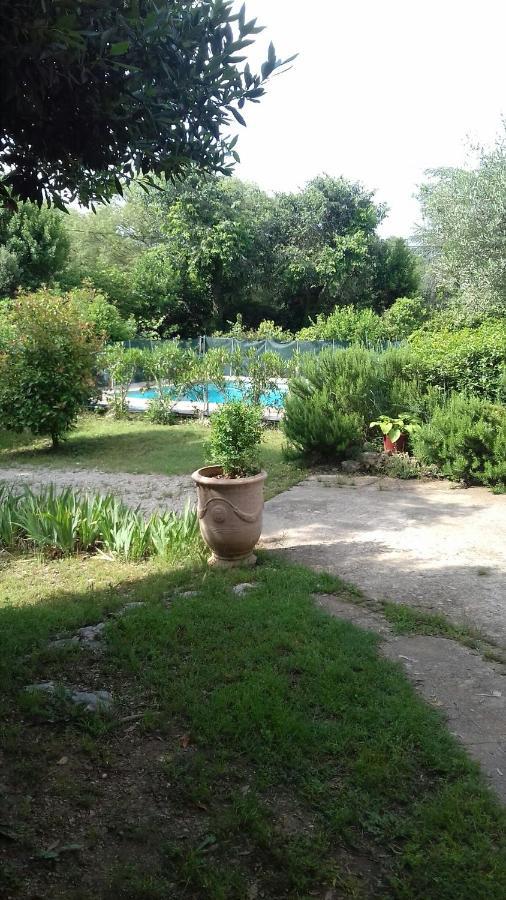 Cap Au Sud Sweet Home Nîmes Eksteriør bilde