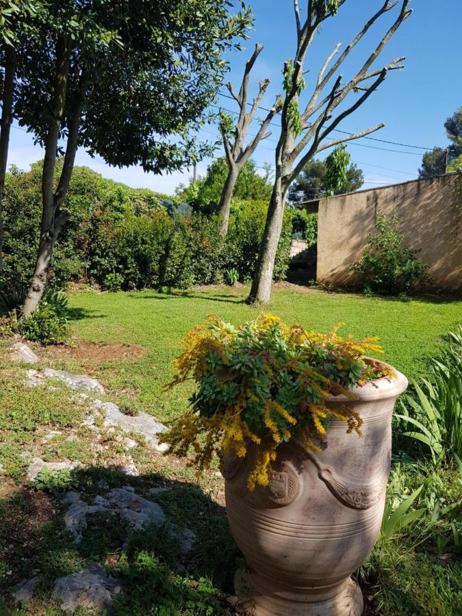 Cap Au Sud Sweet Home Nîmes Eksteriør bilde
