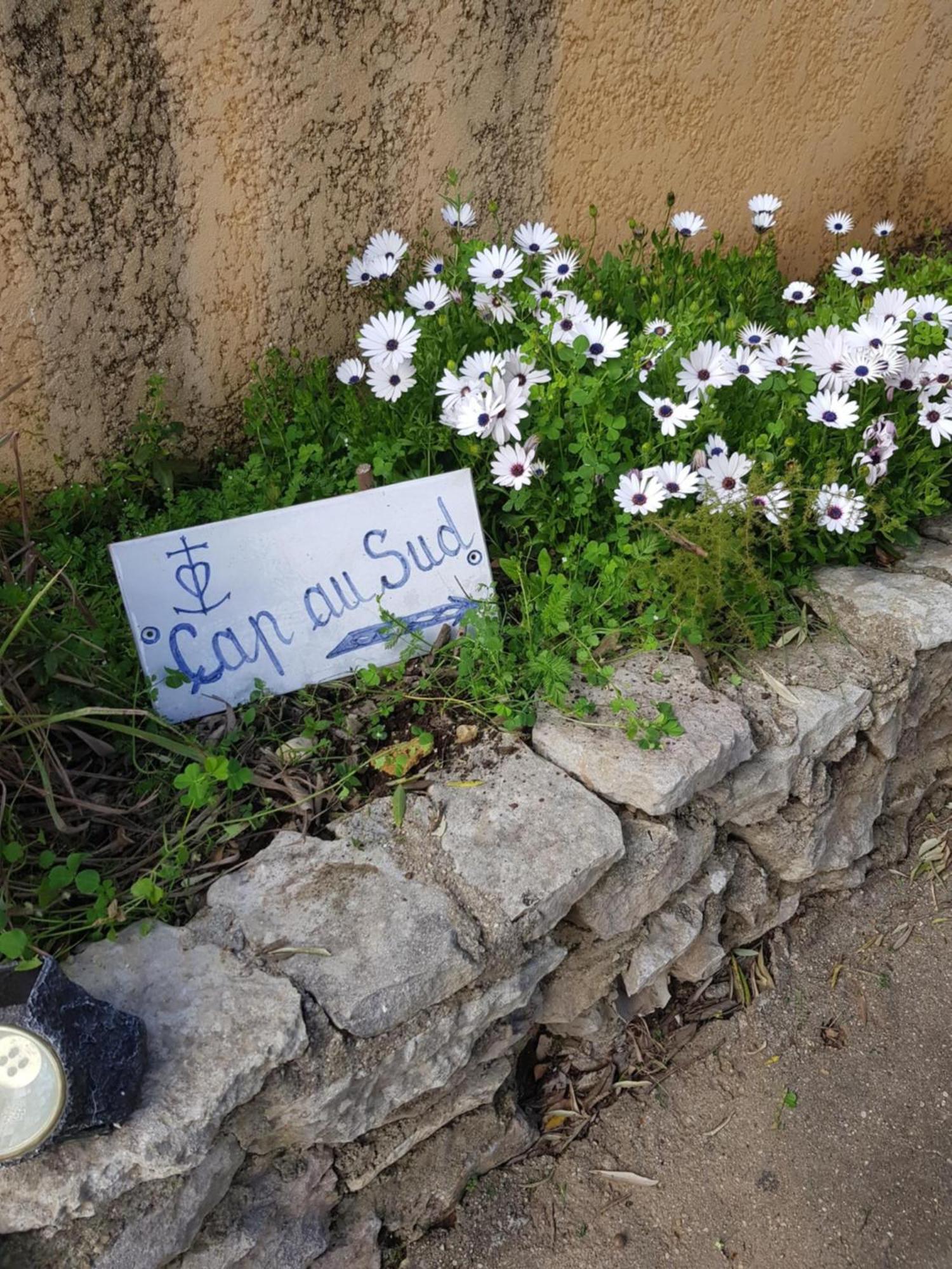 Cap Au Sud Sweet Home Nîmes Eksteriør bilde