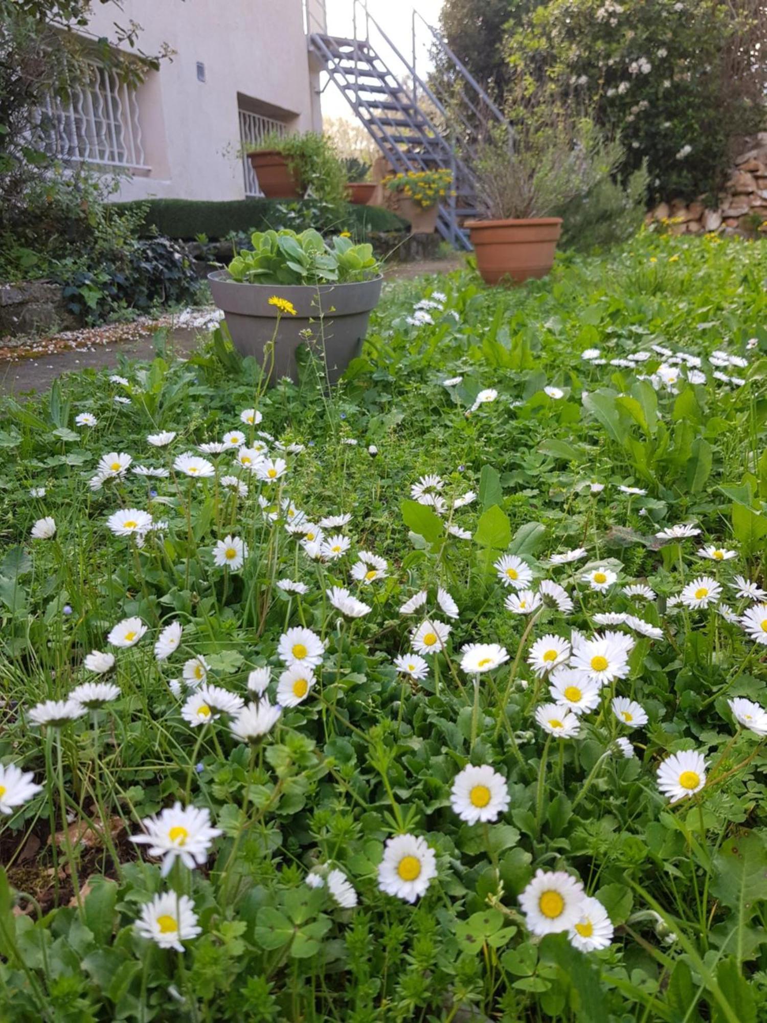 Cap Au Sud Sweet Home Nîmes Eksteriør bilde