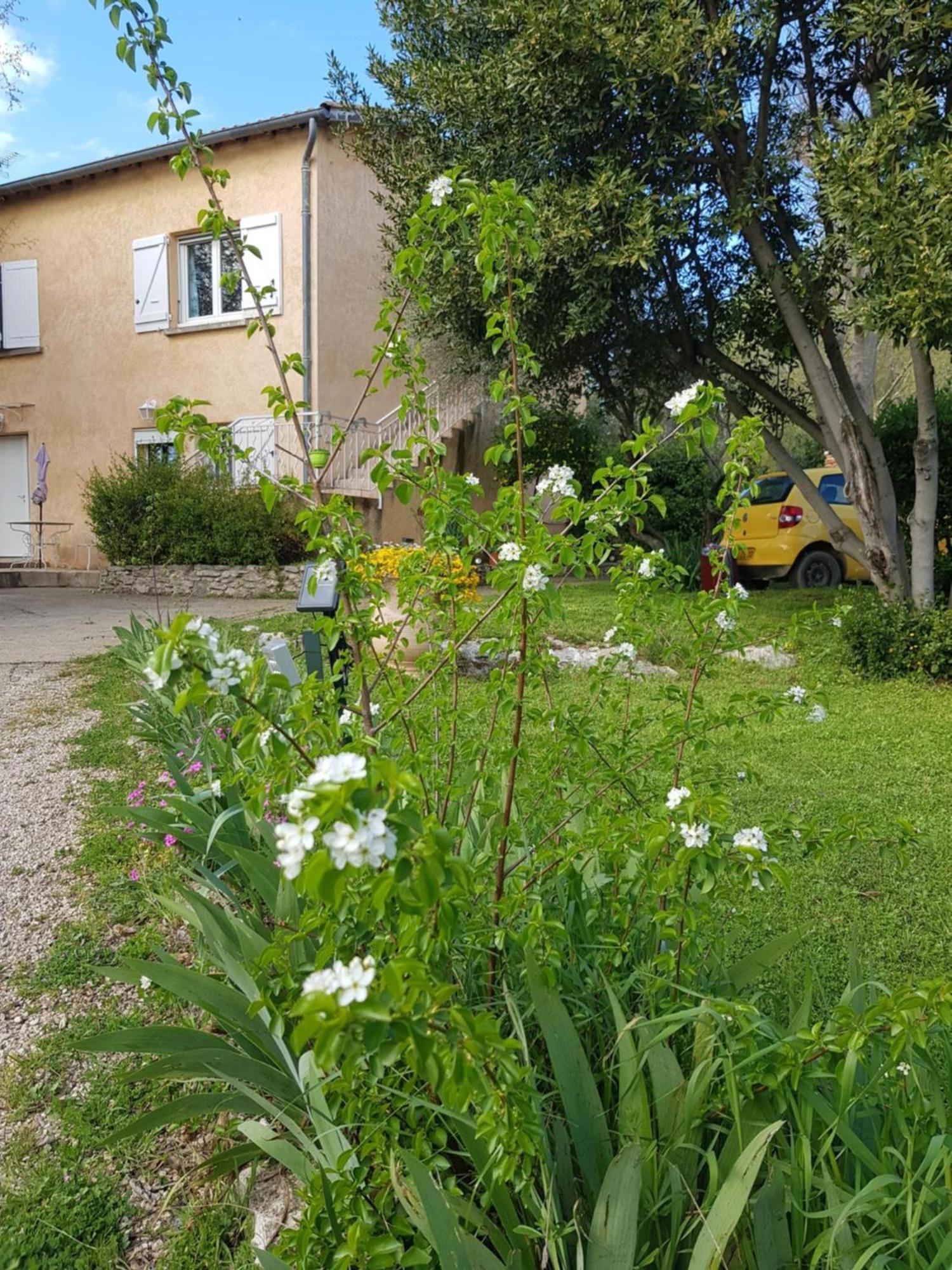 Cap Au Sud Sweet Home Nîmes Eksteriør bilde