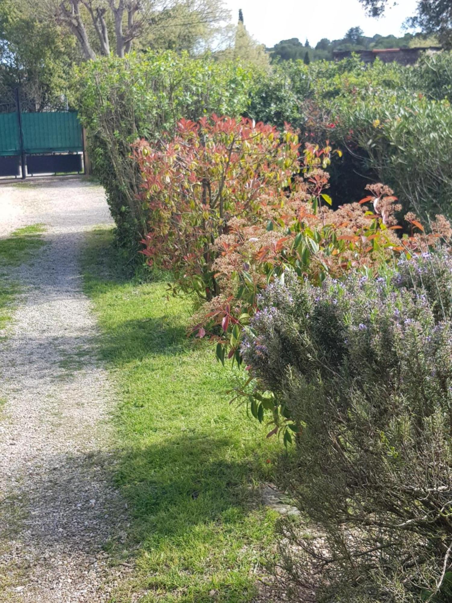 Cap Au Sud Sweet Home Nîmes Eksteriør bilde