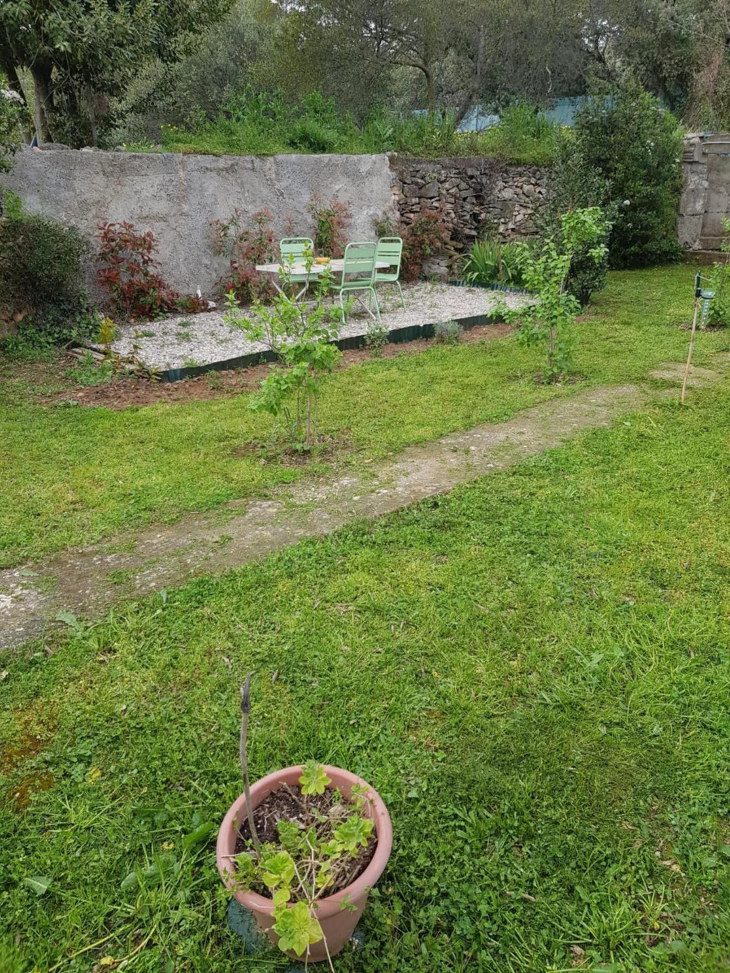 Cap Au Sud Sweet Home Nîmes Eksteriør bilde
