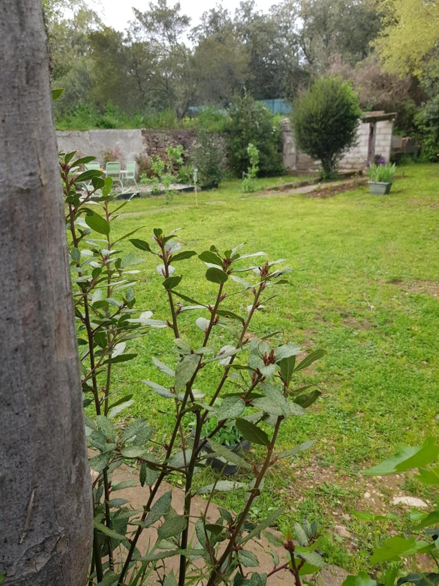 Cap Au Sud Sweet Home Nîmes Eksteriør bilde
