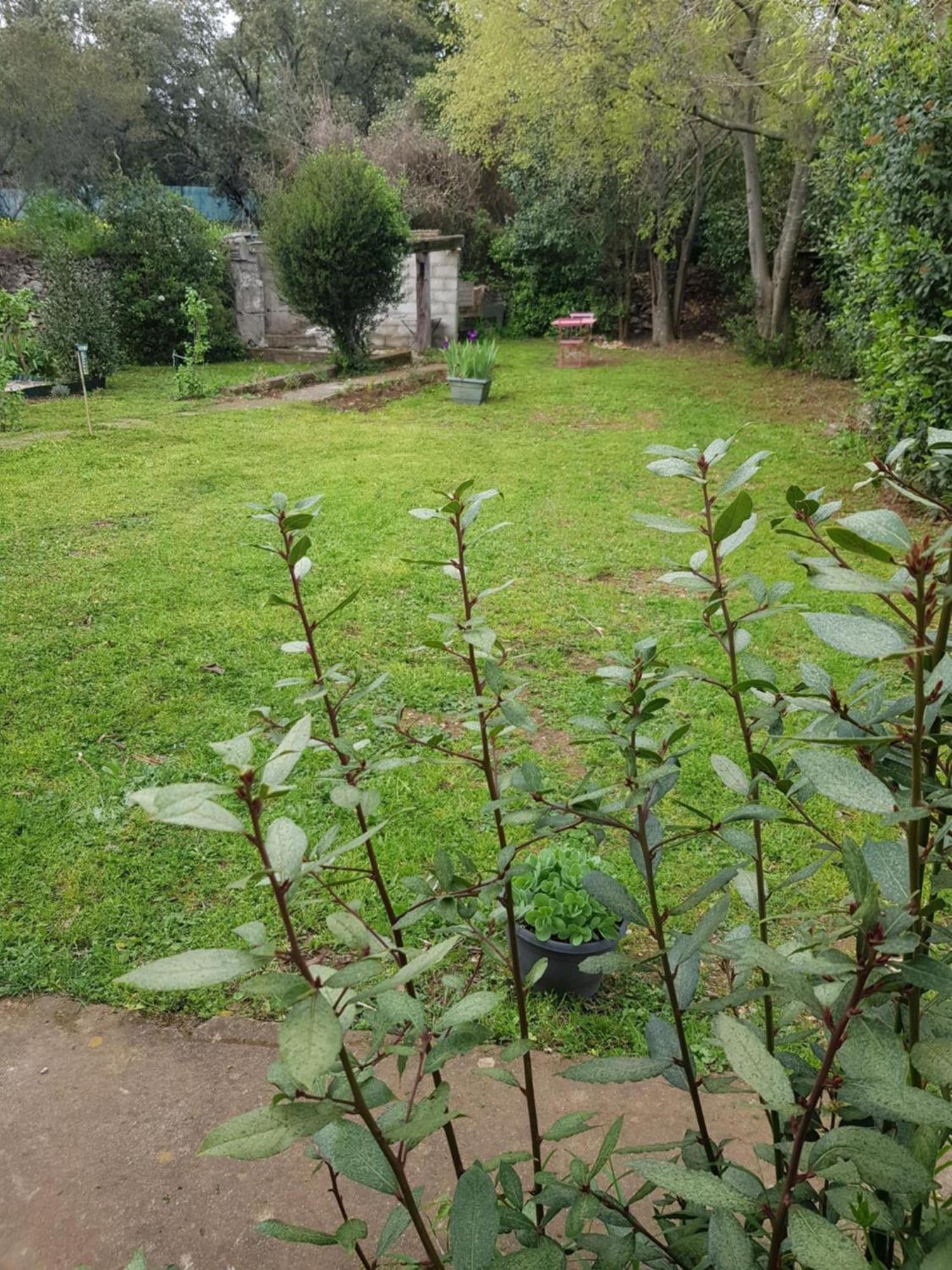 Cap Au Sud Sweet Home Nîmes Eksteriør bilde