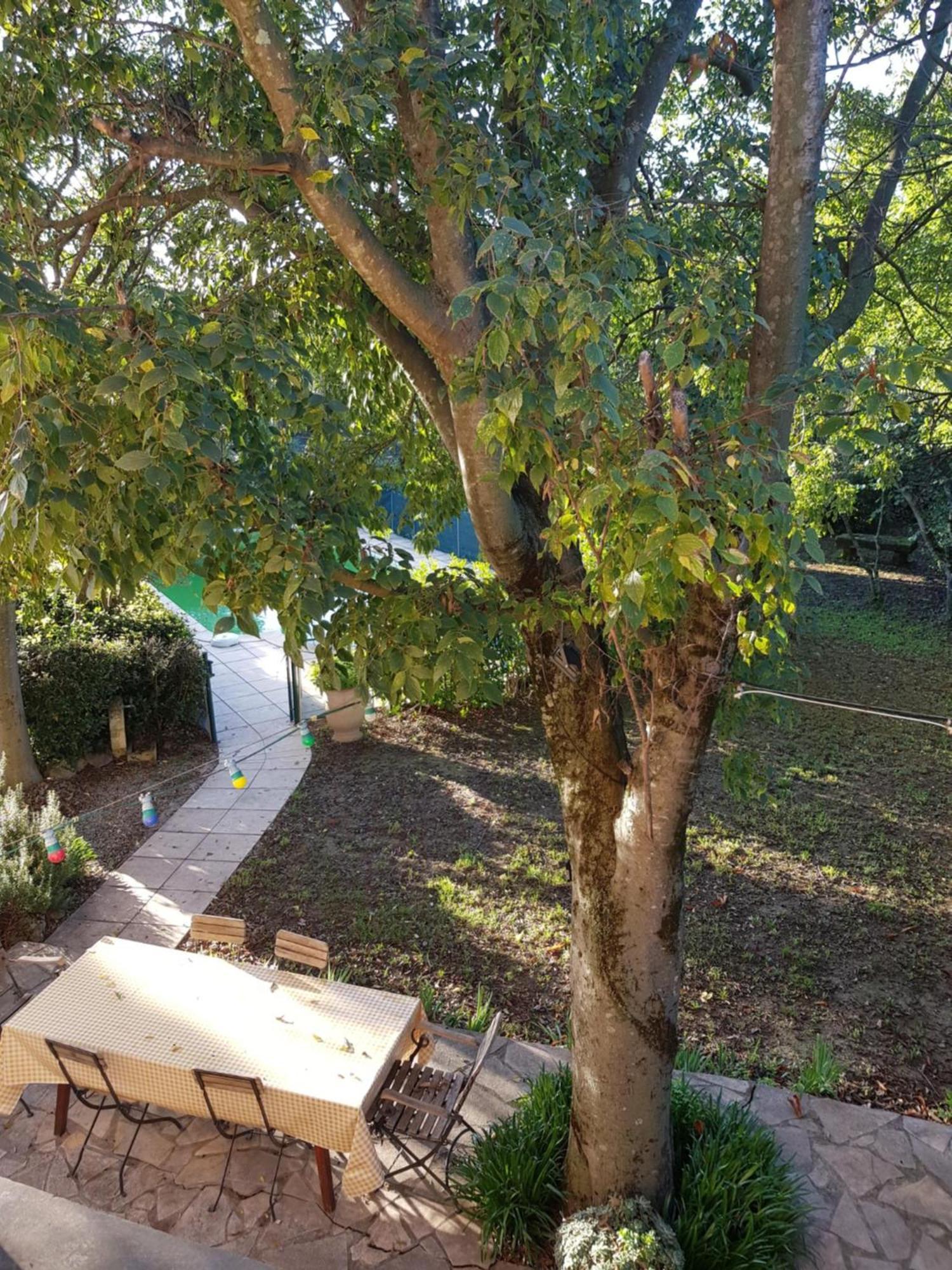 Cap Au Sud Sweet Home Nîmes Eksteriør bilde