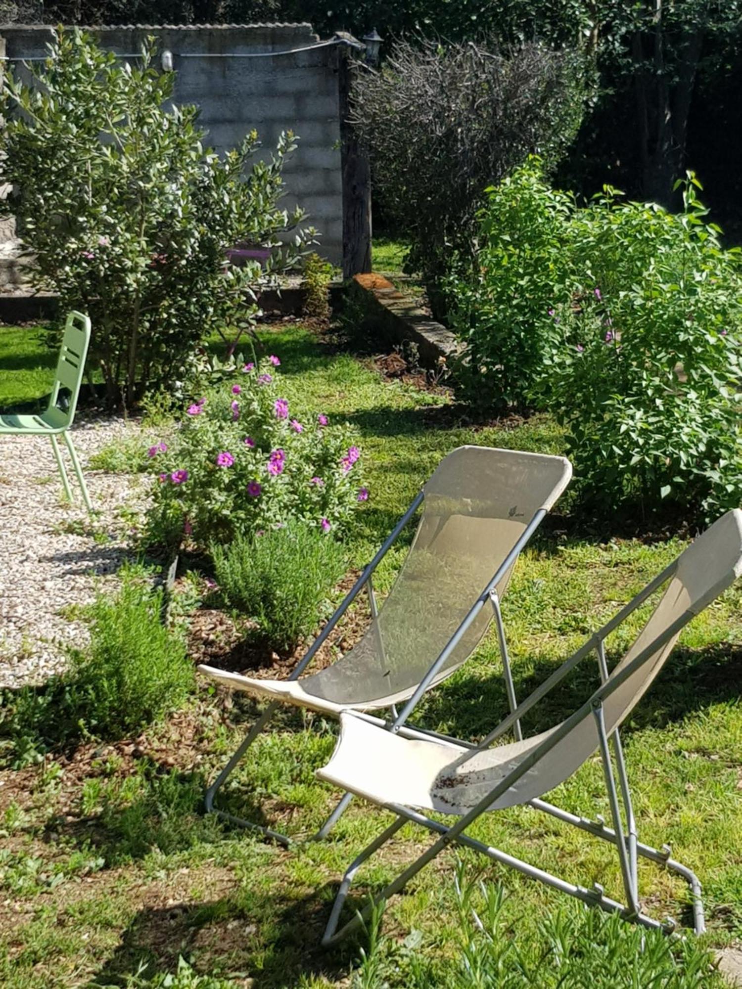 Cap Au Sud Sweet Home Nîmes Eksteriør bilde