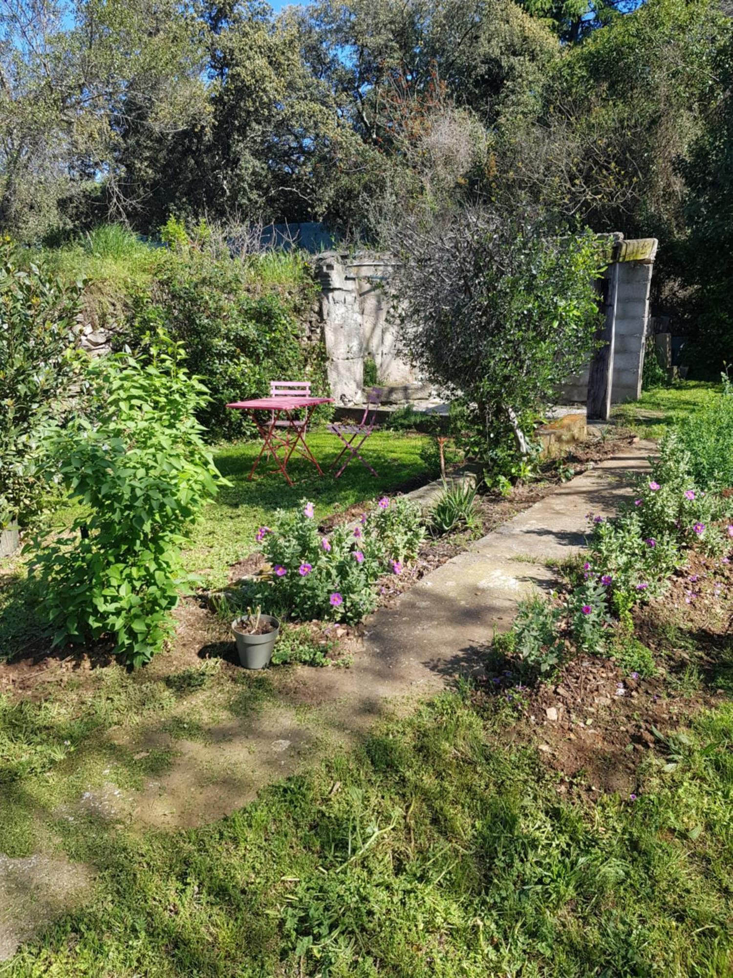 Cap Au Sud Sweet Home Nîmes Eksteriør bilde